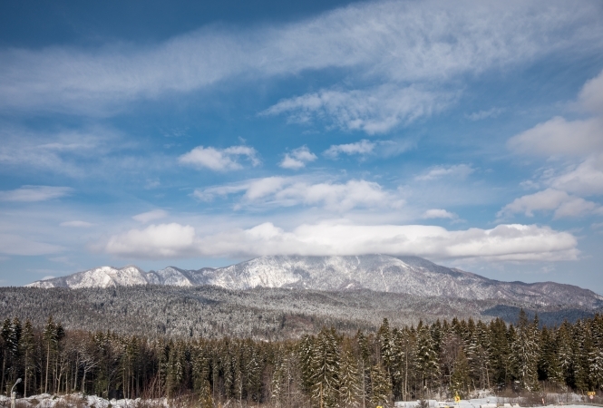 Cazare la Hotel Rozmarin