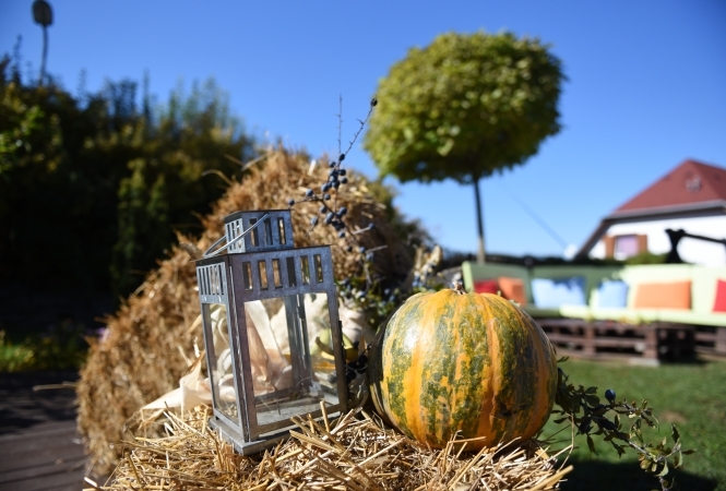 Cazare la Bungalouri Horizont