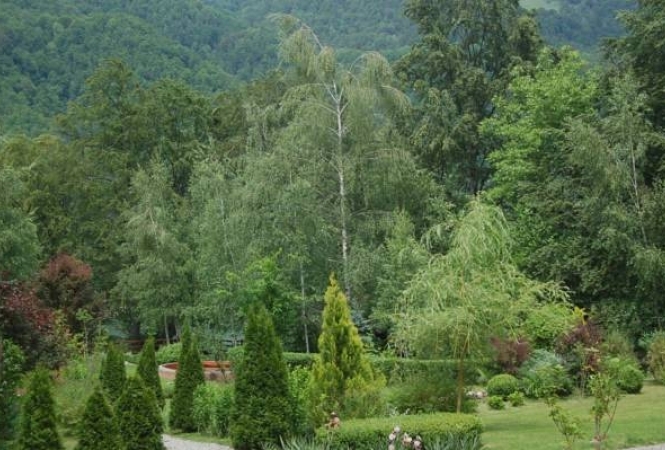 Cazare la Casa Lacului