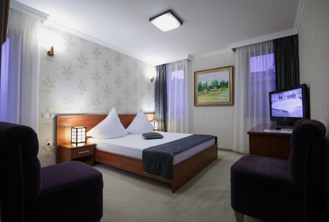 Cazare la CASA DAVID Hotel & Art Gallery