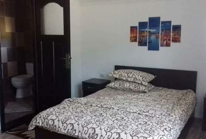 Cazare la Cabana Alin