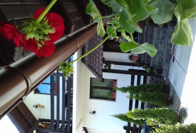 Cazare la Cabana Alin