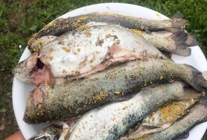 Cazare la Cabana Baly