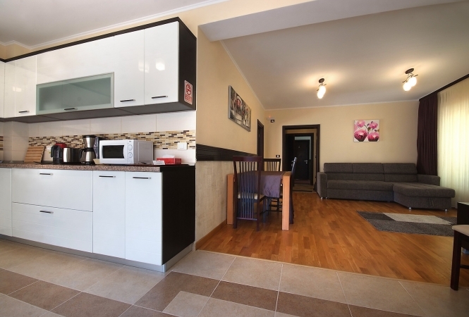 Cazare la Vila Moldavia Class