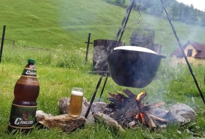 Cazare la CASA OVIDIU