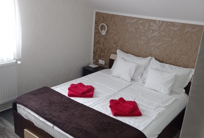 Cazare la Casa Borza