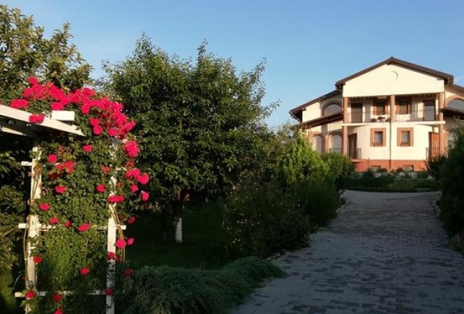 Cazare la Casa Borza