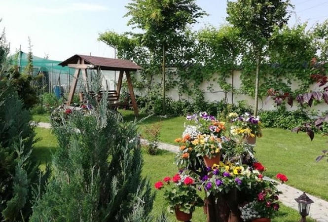 Cazare la Casa Borza