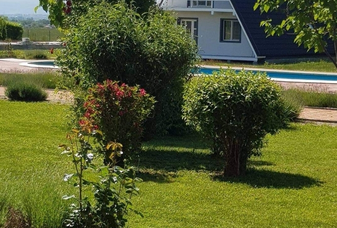 Cazare la Pensiune Turistică Angela