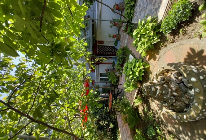 Cazare la Casa Rodica