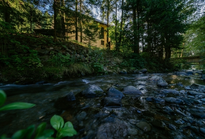 Cazare la Vila Green&White Moieciu de Sus – Oază de Liniște în Inima Naturii