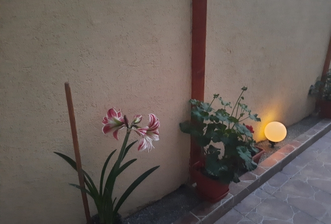 Cazare la Casa Grecu