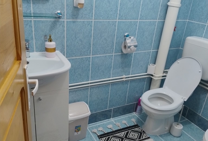 Cazare la Cabana Aer de Munte Viștișoara
